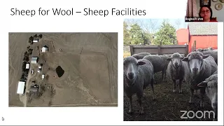 Raising Sheep for Wool - Sheep Facilities - Virtual Field Day