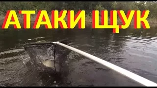 Теория работает!!! Щука атакует на спиннинг!!!