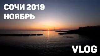 СОЧИ НОЯБРЬ 2019 VLOG