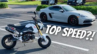 How FAST Is A Modified Honda Grom?