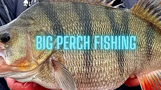 Big perch fishing in muddy water (part 1)