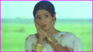 Best Song Of Sridevi And Super Star Krishna - Bangaru Bhoomi Video Song