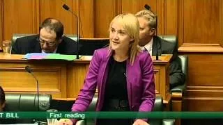 Marriage (Definition of Marriage) Amendment Bill - First Reading - Part 2