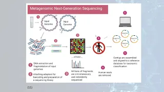 The Potential of Metagenomic Next  Generation Sequencing (mNGS) in Routine Diagnostic Microbiology