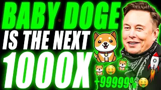 BABY DOGECOIN IS THE NEXT 1000X COIN!!! (LAST CHANCE TO BUY)