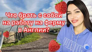 Что взять с собой на ферму в Англию?