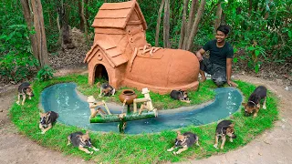 Dog Rescue And Build Mud House Dog In Shoe House Style For Puppy