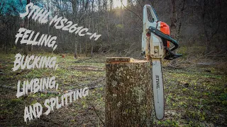 Stihl ms 261cm Felling, Bucking, Limbing, and splitting