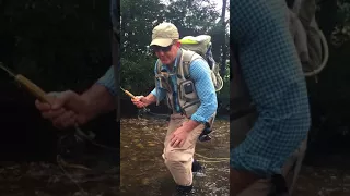 Fly guiding and catching trout on the Stevenson River