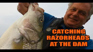 How to CATCH BIG FISH with LIVE BAIT ! ! !