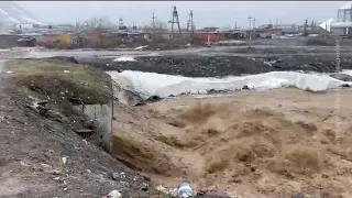 17.06.21.«Новости Северного города». Широка река, опасна. Ваши предложения? Как спасти оленеводство?