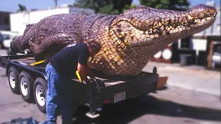 15 BIGGEST Animals Ever Captured !