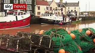 Brexit: Scottish seafood delays could mean job losses