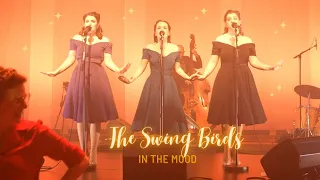 ✨In the mood - The Swing Birds✨