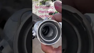 Termostato de Mercedes e350