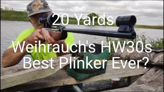 Weihrauch's HW30s: Is It The Best Plinker Ever?