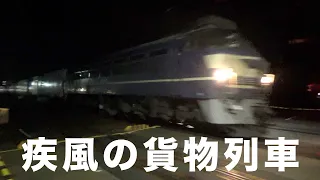 【貨物列車】静岡と神奈川で大迫力のジョイント音　雨にも負けず　風にも負けず　疾風の貨物列車　全34本　Freight train of great power