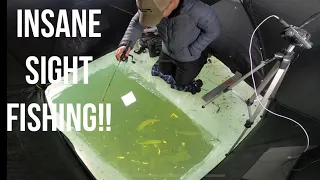 INSANE SIGHT FISHING!! - First Ice Sight Fishing For Brook Trout