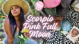 Scorpio Pink Full Moon 🌕🌸🍇🪻 Dancing Under the Pink Moon- April 23, 2024