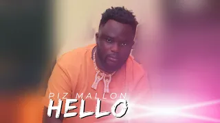 Piz Mallon - Hello