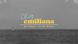 CKay -  emiliana (DJ Yohan & Ax'EL Remix) [Official Lyric Video]