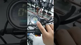 Duotts D88 Switching The Kilometre And Mileage Display Operation Of The Electric Scooter