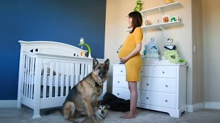Time Lapse- Pregnant to Baby in 90 seconds in 2015 - Pregnant to Get Baby Boy Photo a Day 2015