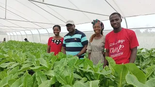 THE NIGERIA SOILLESS FARMING STORY PART 1