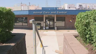 St. Louis County Animal Shelter gets help from nonprofit in time of need