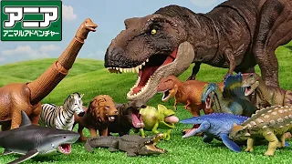 Ania Animal Adventure 12 animal & dinosaur toys! Learn animal & dinosaur names! For kids