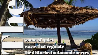 Seaside  Ambience | Tropical Wave Sound, Perfect Relaxation for Stress Relief