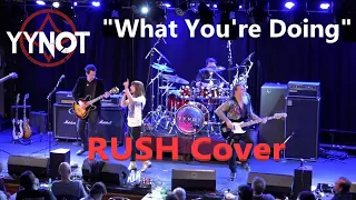 "What You're Doing" RUSH Cover - LIVE!