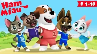 Ham Miau 🐶 ep. 1-10 🐱 Desene animate pentru copii -  HeyKids