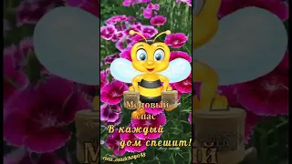 #С МЕДОВЫМ СПАСОМ ПОЗДРАВЛЯЮ🍯