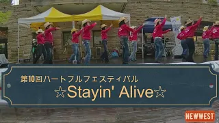 「Stayin' Alive」　Country Line Dance   カントリーダンス