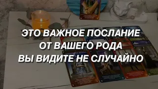 Таро расклад для мужчин. ‼️🌒💯🔥 Это Важное Послание от Вашего Рода Вы Нашли Не Случайно ‼️