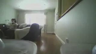 Cat Knocks Drone Out of Air - 988015