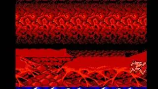 [TAS] Marx's NES battletoads "glitched" in 01:01.42