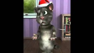 Говорящий кот Том !!!(1видео)