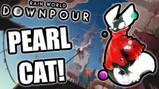 PEARLCAT Is So Good, It Could Be Official DLC! | Rain World Downpour