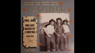 Various – High On The Hog Vol.1 : 50’s 60’s Country Hillbilly, Honky Tonk, Rockabilly Music Album LP