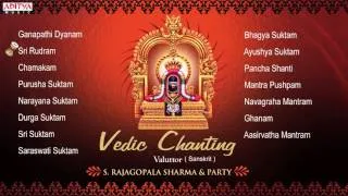 Vedic Chanting || S. Rajagopalsharma || Sanskrit Devotional Jukebox || Aditya Bhakti ||