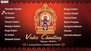 Vedic Chanting | S. Rajagopalsharma|| Sanskrit Devotional Jukebox | Aditya Bhakti |#vedicchanting