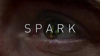 SPARK the movie by Roosegaarde: 60 seconds of organic fireworks