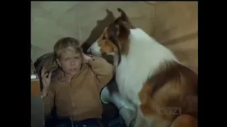 Lassie - Episodes 310-11-12 - "The Journey" Part 1 - Season 9, Ep 19-20-21 - February-March1963