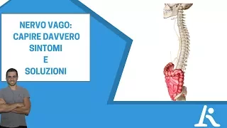 Nervo vago: sintomi da "infiammazione" e soluzioni