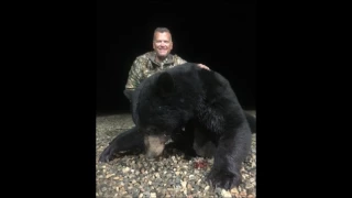 Big Bear Down!