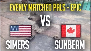 Simers vs Sunbeam #2 - Evenly Matched Pals - Epic practice : men of war assault squad 2