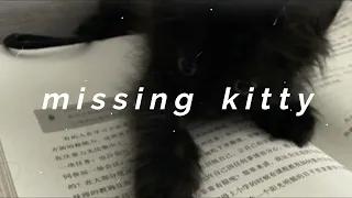 kreayshawn - missing kitty (sped up, reverb & bass boosted)༄