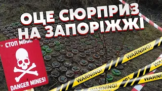 👊Важко повірити! В ОБОРОНІ росіян помітили ДЕЩО НЕЙМОВІРНЕ, так ще ніхто не робив - Селезньов